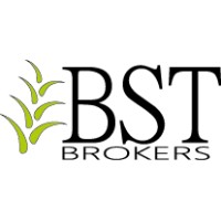 logo bst brokers