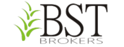 BST Brokers logo